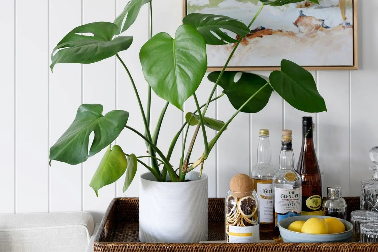 Rare and Exotic Plants